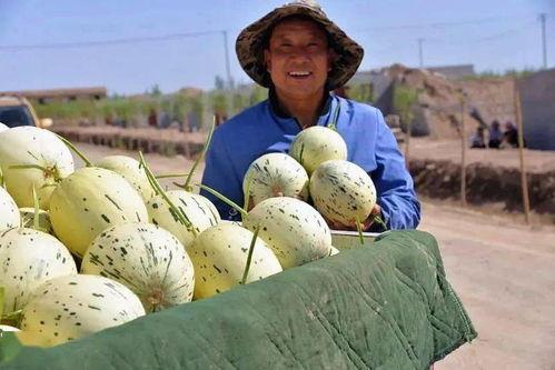 娱乐吃瓜州,揭秘娱乐圈背后的故事与八卦